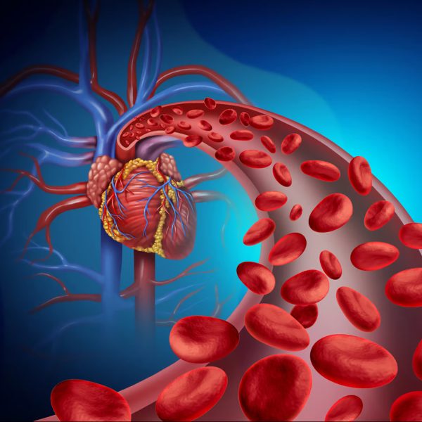 Chromosome Analysis- Heart Blood